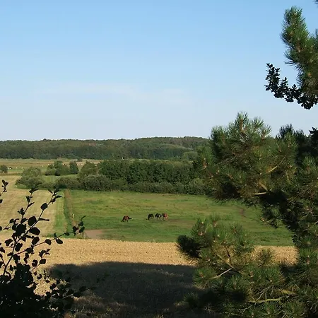 Svanfolk Holiday * Kongerslev