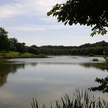 Svanfolk Holiday Kongerslev